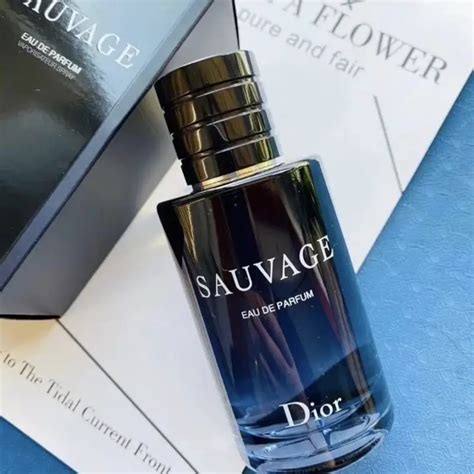 dior sacuage|what does dior sauvage smell like.